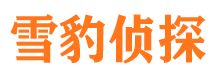 泽普捉小三公司